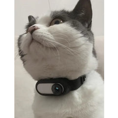 Wireless Pet Collar Camera - Indoor & Outdoor Recording for Cats and Dogs                            MyDogToysFoodTraining.com