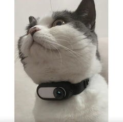 Wireless Pet Collar Camera - Indoor & Outdoor Recording for Cats and Dogs                            MyDogToysFoodTraining.com